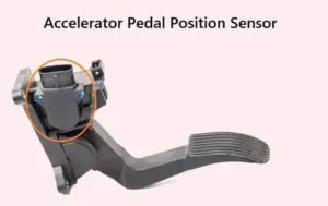 Accelerator Pedal Position Sensor