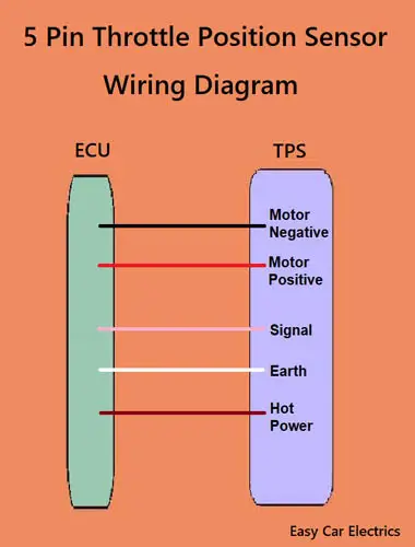 5 Pin Throttle Position Sensor Wiring Diagram